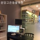분당 고은 동물병원 네이버블로그