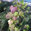 예일여고 이미지