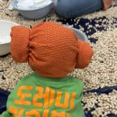 도레미어린이집 | 이마트 문화센터 도레미팡팡 9개월 수강 후기