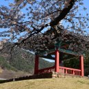 정치04 | 창녕 진흥왕척경비(2026. 04. 02.)