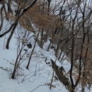 명숙수산 - 시흥시 수인로 2411 | 명숙수산