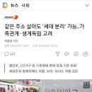 같은 주소 살아도 '세대 분리' 가능..가족관계·생계독립 고려 이미지