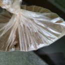 부춘농장 이미지