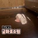 창원 금화효소원 효소찜질 가격, 후기, 부작용