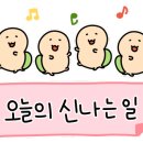 대우땅콩