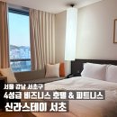 논현더스테이 | 고급 피트니스 기구가 있는 신라스테이 서초 스탠다드 더블 시티뷰 내돈내산 솔직 후기