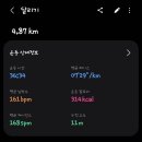 아티스트비에스 가오점
