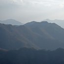보석사   은행나무 이미지