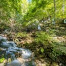 오두산 치유숲 이미지