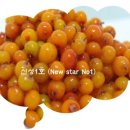 신성2호 이미지