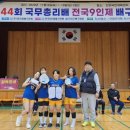한국9인제배구연맹 대한민국 배구사 중심에 이미지