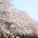 보고봄 네이버블로그