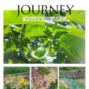 오월농장 이미지