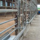 동선축사 이미지