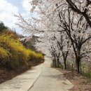 노인전문요양원 | 울산요양원 추천 평화로운 자연과 함께하는 어르신들의 편안한 일상 덕인노인전문요양원