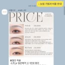 어멜리즈