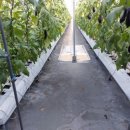 주열농장 이미지