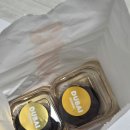 크로스핏계룡 | 마지막 목포 여행