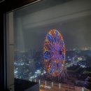 울산 5성급 &#39;롯데호텔&#39;ㅣ 대관람차 뷰 후기, 농수산물 도매시장