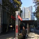 라운지32 | 시드니 신혼여행 숙소추천🇦🇺🤍 | 포시즌스 호텔 풀하버뷰, 32층 이그제큐티브 라운지 이용 후기
