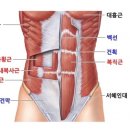 (주)에이블 탑