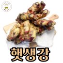 훈박이네