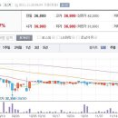 11월25일 데일리진단 - 백광산업 주가흐름 및 투자전략 이미지