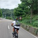 향촌삼거리 네이버블로그