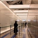 인천공항 고래사어묵 내돈내산 후기