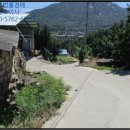 낙동면 비룡리 이미지