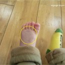 트니트니 키즈챔프3 이미지