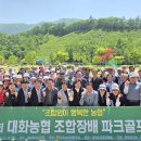 대화파크 티스토리