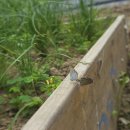 랑데뷰 - 통영시 중앙로 303-5 | 랑데뷰