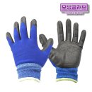 모닝글러브 이미지