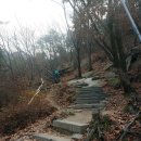 윤화자 Daum카페