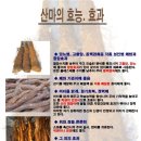 산약마