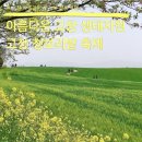 고창 청보리밭 축제 학원농장 후기 주차 관람차 먹거리 전북여행 4월 유채꽃