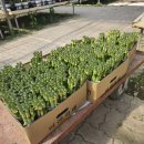 산동중학교 이미지