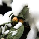 해금강여관 이미지