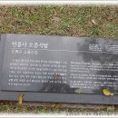 미디어 콘텐츠 활용 이미지