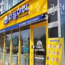 와플대학서산 이미지