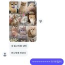 누가 느좋에 대해 묻는다면 고갤 들어 이서경을 보게 하여라
