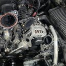 보성크리닝 이미지