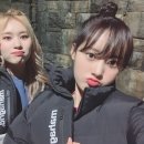 엘리정보 이미지