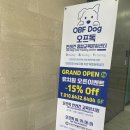 그루밍 다올(grooming daol) | 양산 오프독 반려견 종합 교육 문화센터 후기