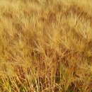 세성주유소 이미지