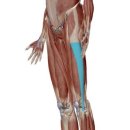 어베인휘트니스 이미지