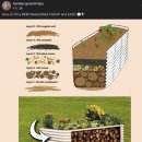 모레골 농장 | [KSEEDZ] 텃밭 만들기 : 틀밭, 가든베드 - Garden bed