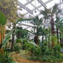 과일나라 앞 이미지