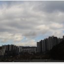 김제광활간척지쌀 이미지